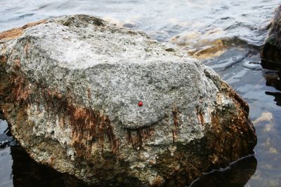 Close-up of rocks on shore