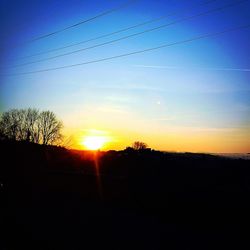 Silhouette of trees at sunset