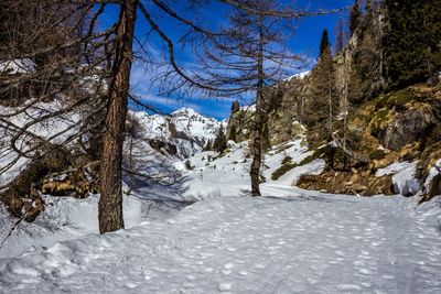 Snow covered land and trees against sky