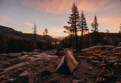 Trees and tent against sky during sunset