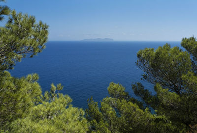 Scenic view of sea against blue sky