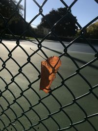 Close-up of chainlink fence against sky during autumn