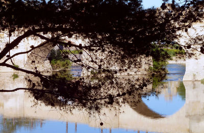Reflection of trees in lake against sky