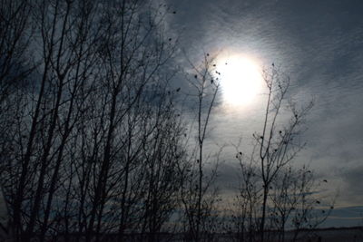 Silhouette of bare trees against sky during winter