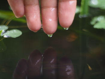 Close-up of woman hands in water