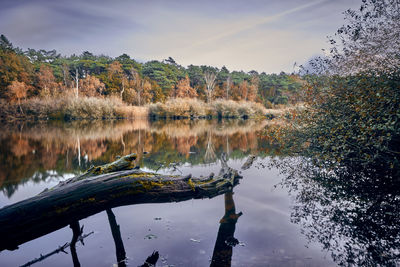 Reflection of trees in lake against sky