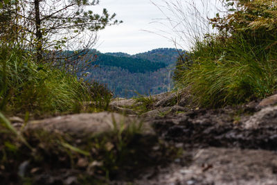 Surface level of land against sky