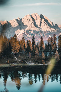 Reflection of trees in lake against sky