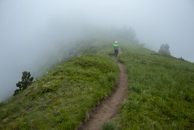 Rear view of man walking on field