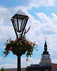 Low angle view of flowering plant by building against sky