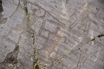 Full frame shot of rock on wall