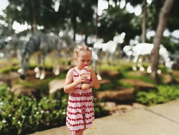 Portrait of little girl drinking juice at park