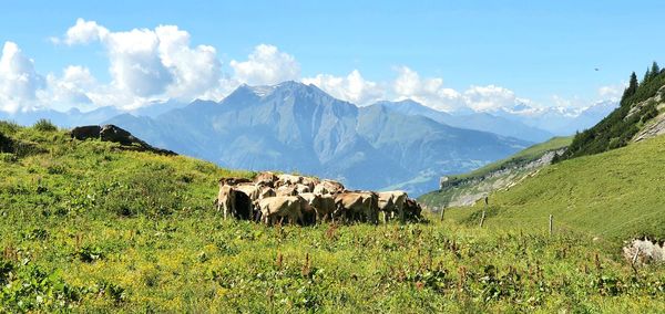 Scenic view of landscape and mountains against sky