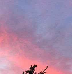 Low angle view of silhouette tree against sky during sunset