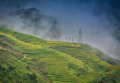 Scenic view of agricultural field against sky