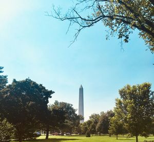 View of trees with monument in background