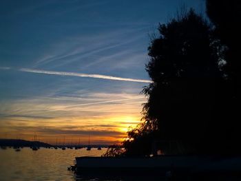 Silhouette trees by sea against sky during sunset