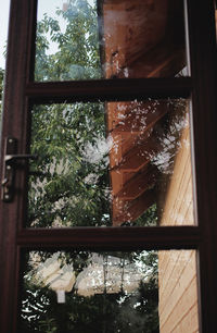 Close-up view of window