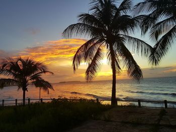 Silhouette palm tree on beach against sky at sunset