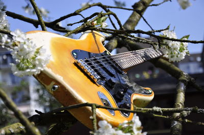 Close-up of guitar on tree against sky