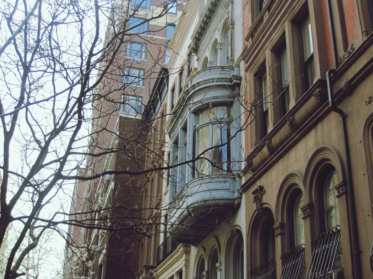 architecture, built structure, building exterior, low angle view, arch, window, building, tree, architectural feature, day, facade, church, no people, city, outdoors, clear sky, history, religion, place of worship, sky