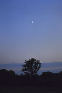 Silhouette tree against sky at dusk