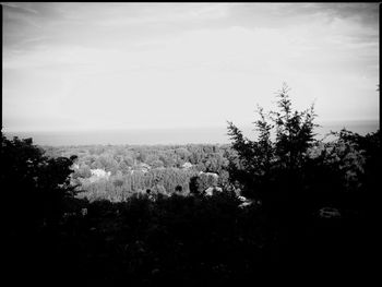 Scenic view of trees against sky