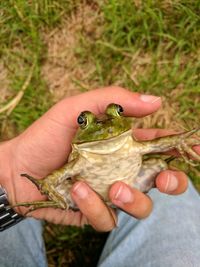 Close-up of hand holding food