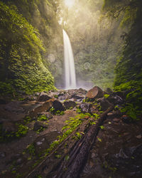 Scenic view of waterfall in forest