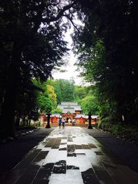 Man on road amidst trees against sky