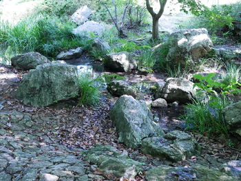 Stream flowing through rocks in forest