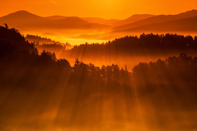 Scenic view of silhouette trees against sky during sunset