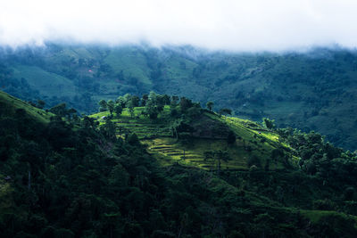 High angle view of landscape