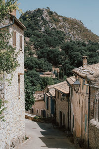 Houses and tree by buildings in city