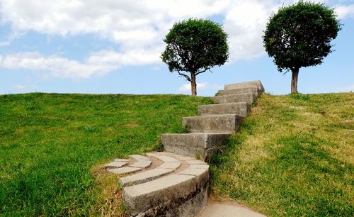 View of steps on grassy hill