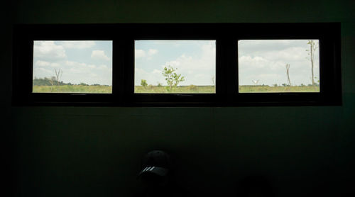 Trees against sky seen through window