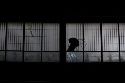 Side view of silhouette woman walking against window