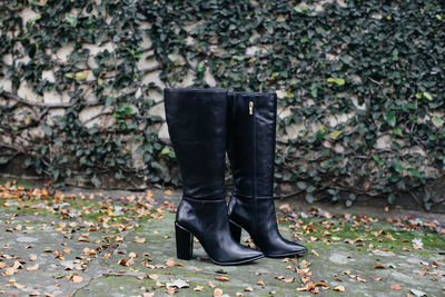 Close-up of black high heels on footpath against creeper plants