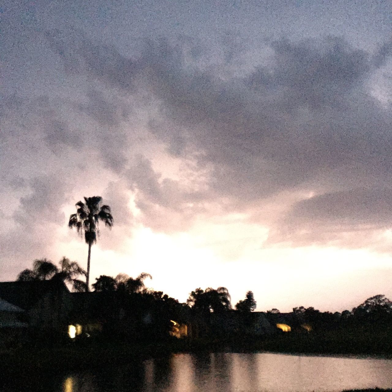 palm tree, silhouette, sky, tree, cloud - sky, tranquility, beauty in nature, tranquil scene, scenics, nature, cloudy, growth, water, low angle view, dusk, cloud, sunset, outdoors, idyllic, no people