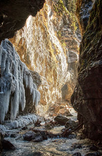 Scenic view of waterfall