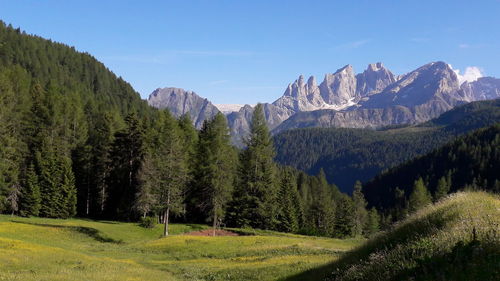 Panoramic view of trees and mountains against sky
