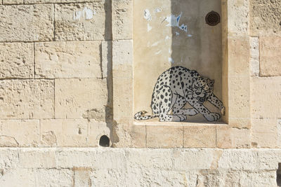 Shadow of a cat on wall