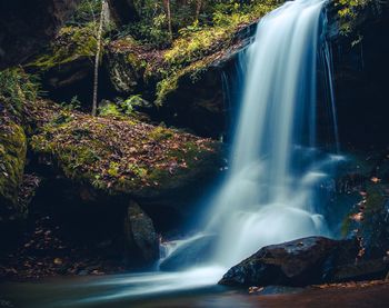 View of waterfall in forest