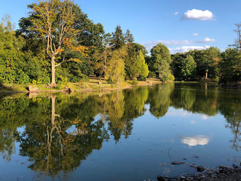 Reflection of trees in lake against sky