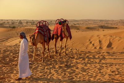 Side view of mature man standing by camels at desert