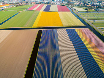 Aerial view of colorful landscape