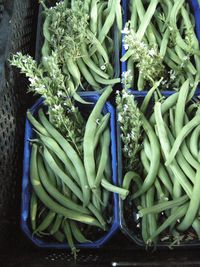 Close-up of vegetables in market