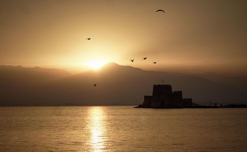 Silhouette birds flying over sea against sky during sunset