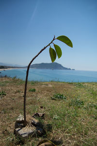 Scenic view of calm sea