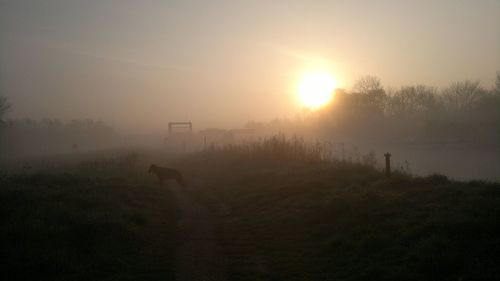 Scenic view of landscape in foggy weather